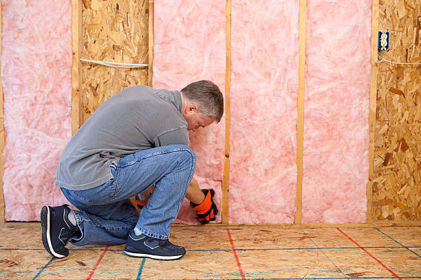 Best Geographic-Specific Insulation Services in Vista Santa Rosa, CA