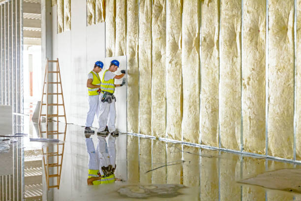 Best Eco-Friendly Insulation in Vista Santa Rosa, CA